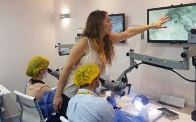 ¿Por qué son importantes los dos oídos para escuchar?