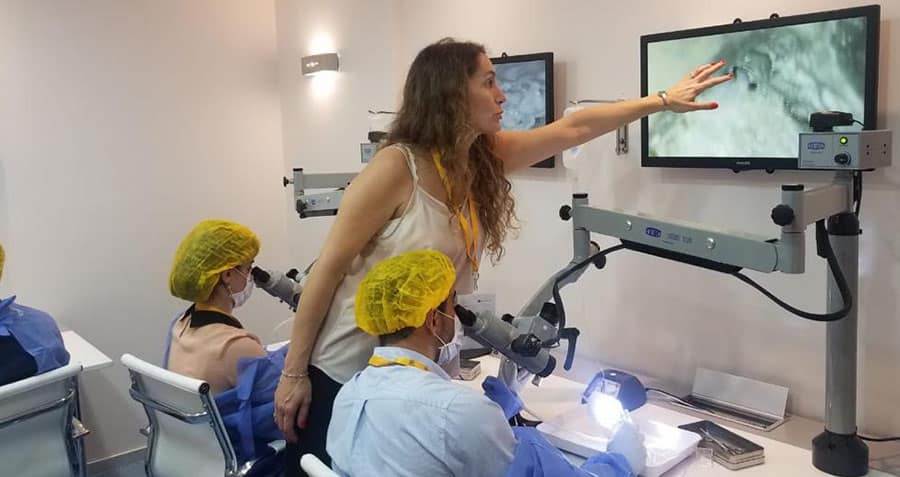 ¿Por qué son importantes los dos oídos para escuchar?